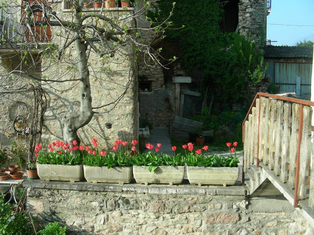 Villa Casa Nadia San Zeno di Montagna Exterior foto